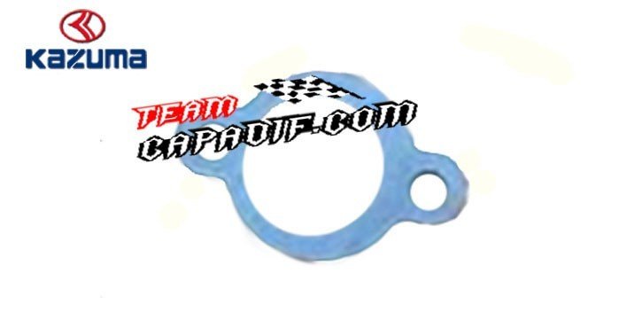 fiber gasket for tightener  KAZUMA JAGUAR 500CC