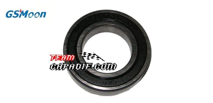 GSMOON 260 Differentiallager  BEARING 6007-LS