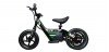 Electric Bike Flash Black Biwond