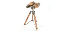 Victorian binoculars