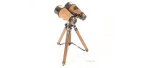 Victorian binoculars